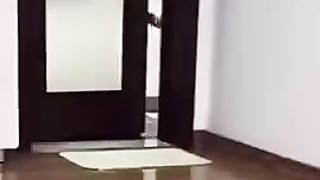 Funny Animal Videos 2022 Best Dogs and Cats Videos