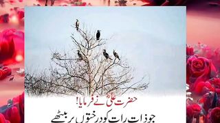 Hazrat Ali Quotes//Urdu Quotes//