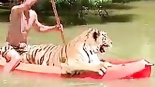 Awesome video ???? 8