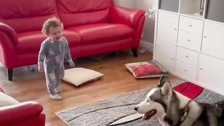 Funny Baby with Dog