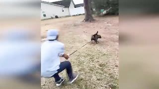 Funny cat 10