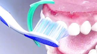 Comment se laver les dents