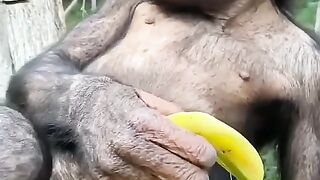very funny 3
