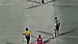 cricket 4