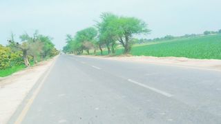 Punjab ka seen