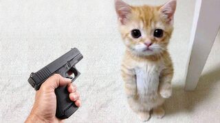 funny animal 4
