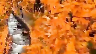 Best video #Livestreaming #Livevideochat #Socialnetworking #Interactive #Fun #Entertaining #Engaging