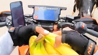 brave and great cow video #video #clip #viral