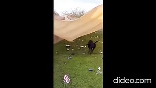 Animals are so cute