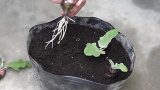 Awesome video ???? 15