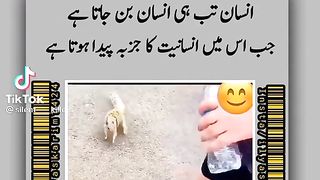 Insaan (insaan tab banta hai )