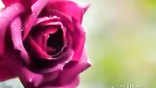 Gözəl bir dini video