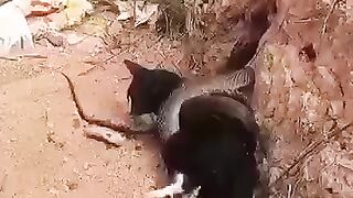 Awesome video ???? 16