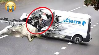Idiot at work compilation 2022