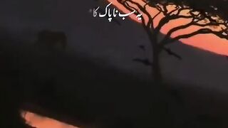Quran 2