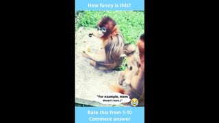 "Funny Monkey"-26