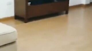 Funny animal 5