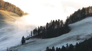restfull and relaxing video