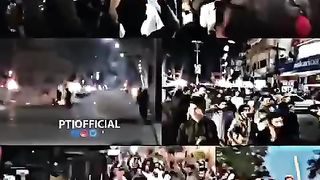 Pti ???? tighers