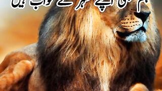 Shayri . Whatsapp status
