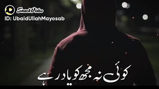 یاد میں تیرے سب کر بھلا دوں کوئی مجھ کویاد نہیں رہی
