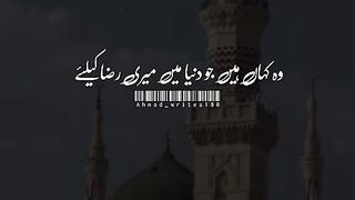 اللہ فرمائیگا وہ کہاں ہے جو دنیا میں میری رضا کے لیے