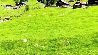 Beautiful amazing view