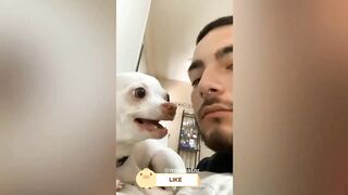 Funniest Dog Videos  - Funniest Animals 2023 | Pets Island