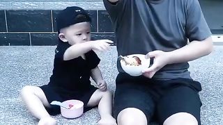 The best funny videos