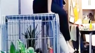 New Funny Videos 2023  Cutest Cats and Dogs  Part 25