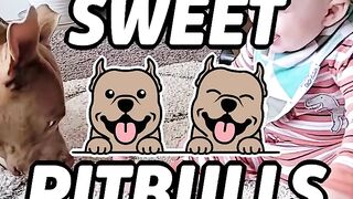 Who could say no to these sweet babies!