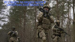 В Запорожье заявили об отбитой украинской атаке боевиков