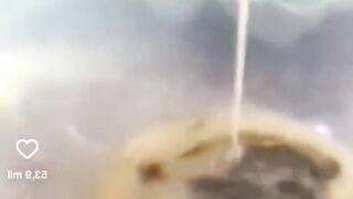 Cats make food 2023 "That Little Puff" Tiktok Compilation #13