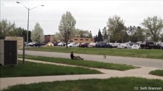Compilation of funny videos with animals chasing people