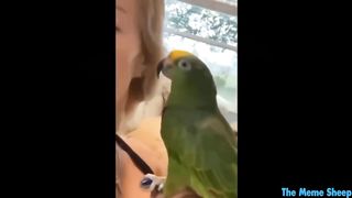 try not to die laughing ???? 3