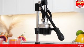 Cast Iron Citrus Juicer _ Stainless Steel Manual Hand Press Juicer Squeezer Citrus Lemon Fruit