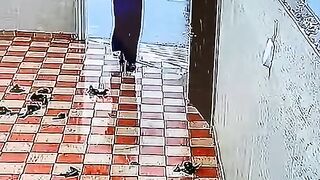 P please watch last scene