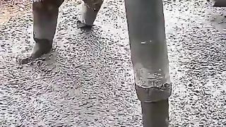 The  Ingenious construction workers that are at another level