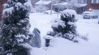Another snow day