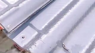 The  super skills
