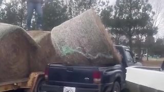 The  work smarter, not harder