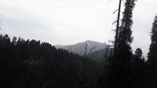 Mountains View From Car