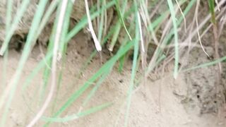 Nature in my village