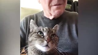 Sir Anthony Hopkins plays piano for his cat