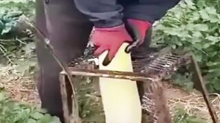 Cool and unique creations to make your life easier