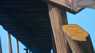 Tom And Jerry 5