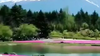 Nature is so beautiful