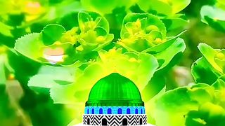 Darood Shareef ki Fazeelat life changing