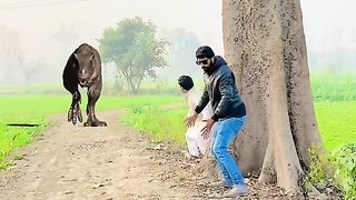 Full Funny Video 2