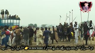 #Horses Riding part 11#jhamra#darbar#kaly#